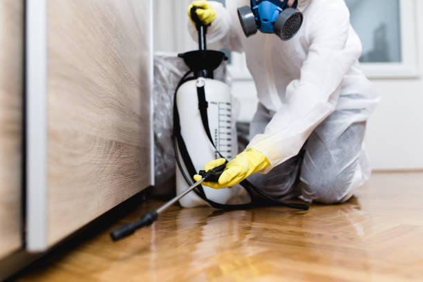 Best Pest Control for Businesses  in Wray, CO