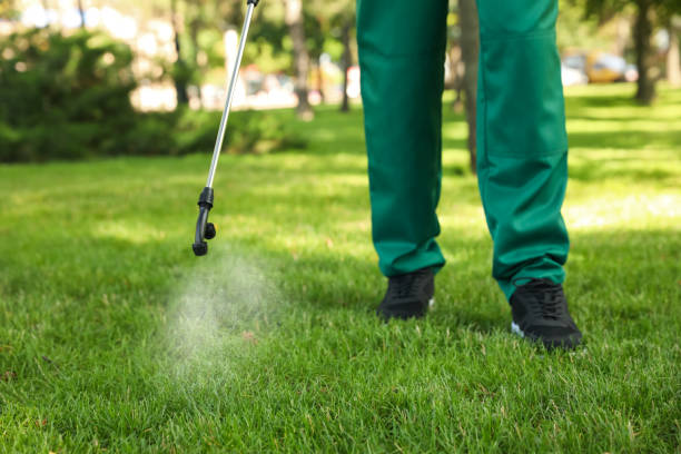 Best Best Pest Control Companies  in Wray, CO