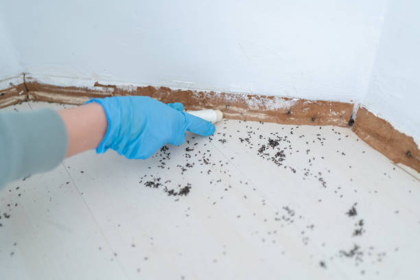 Best Commercial Pest Control Services  in Wray, CO