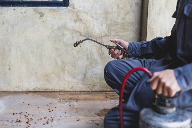Best Pest Removal Services  in Wray, CO